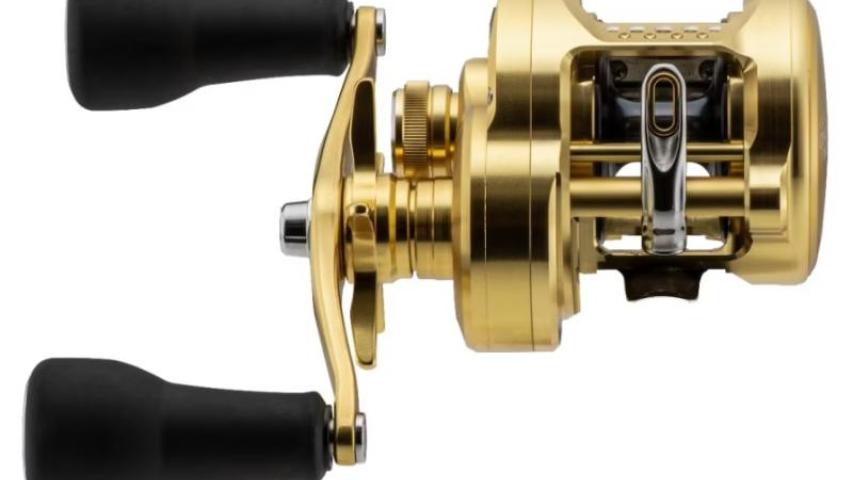 Shimano 23 Calcutta Conquest MD fishing reels